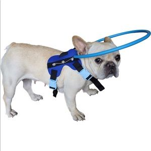 Blind Dog Harness Guiding Device
